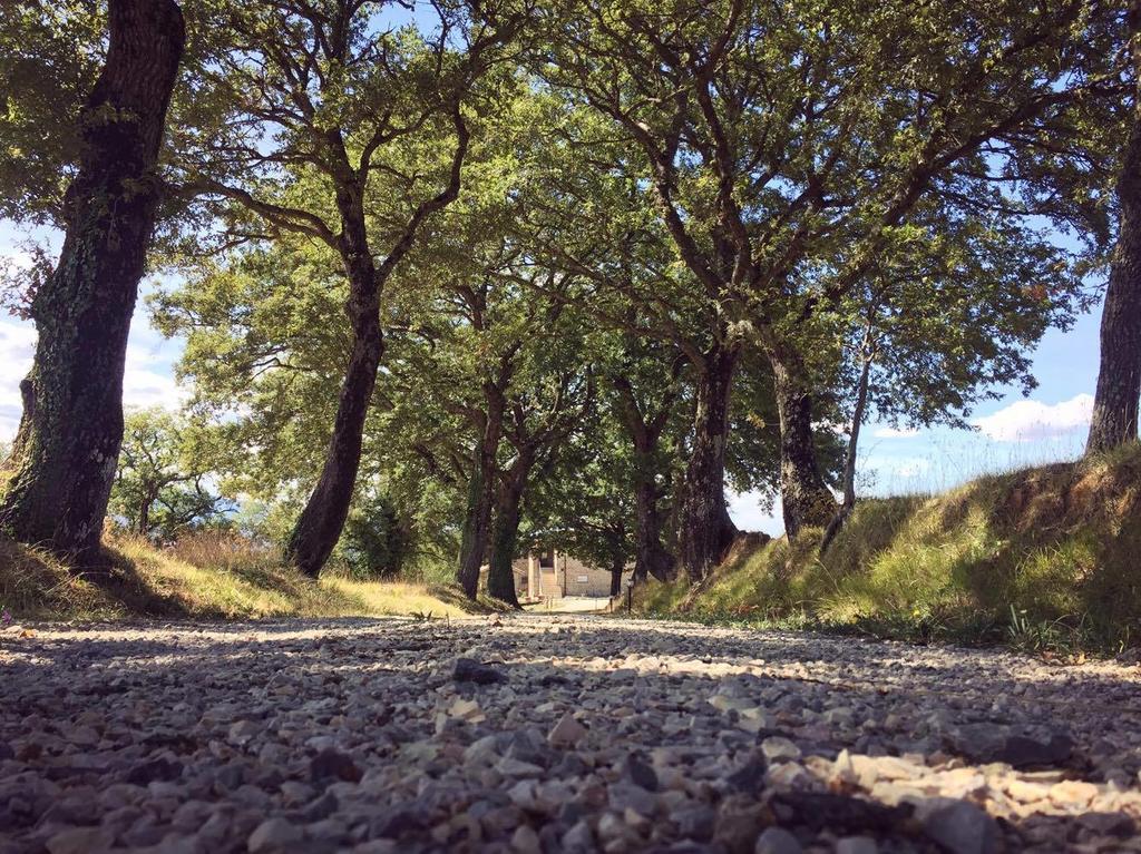 Agriturismo Ipoderi Chianciano Terme Exteriér fotografie